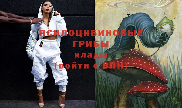герыч Богородск