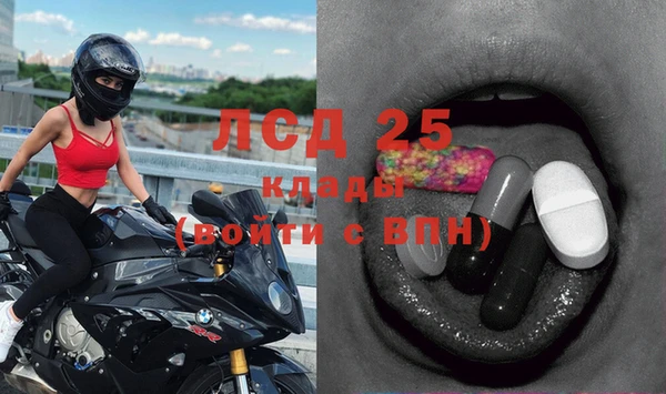 таблы Богданович