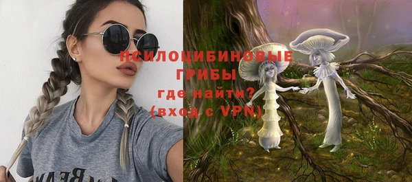 таблы Богданович