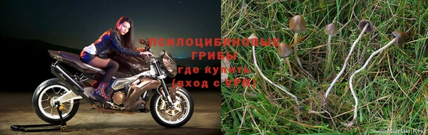гашишное масло Богородицк